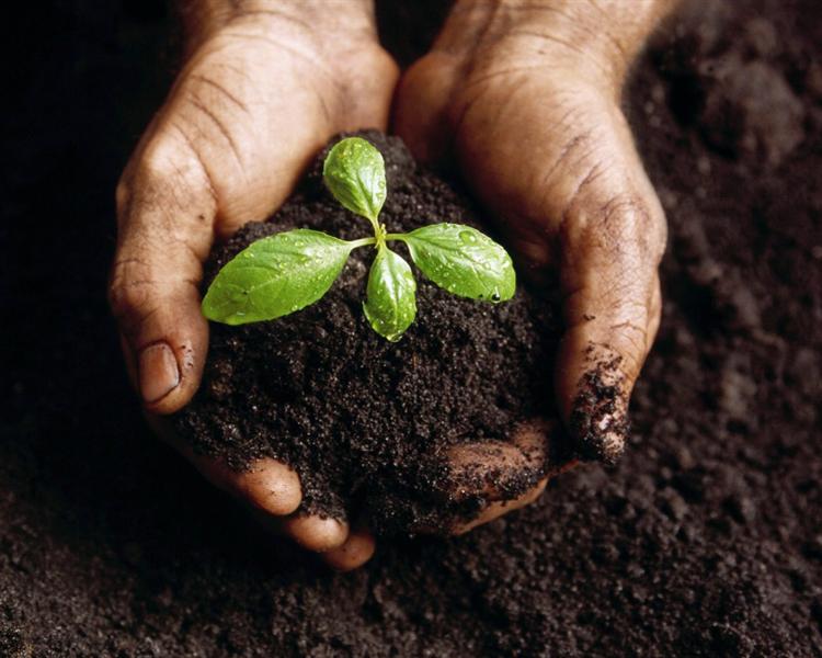 Blog del Ecoparque de Trasmiera: Mejorando los jardines con el compost  municipal
