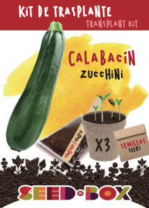 como cultivar calabacin