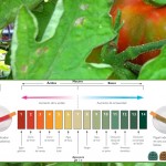Tabla de pH en cultivos para huerto casa l EcoHortum