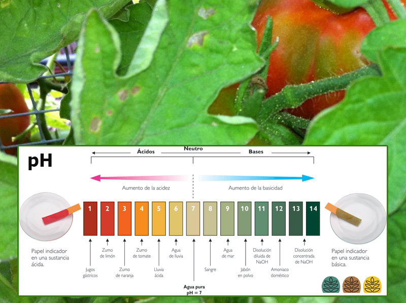 Tabla de pH en cultivos para huerto casa l EcoHortum