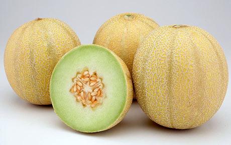 Cultivar melón - huerto en casa l EcoHortum