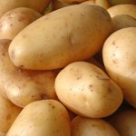 Cultivar patatas en huerto en casa l EcoHortum