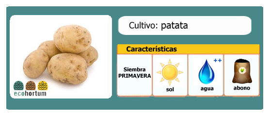 Ficha cultivo patatas l EcoHortum