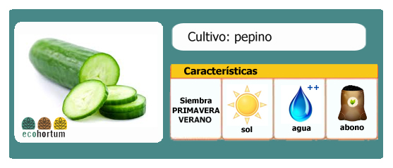 Ficha cultivo pepino l EcoHortum