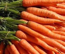 Cultivar zanahorias huerto casa | EcoHortum