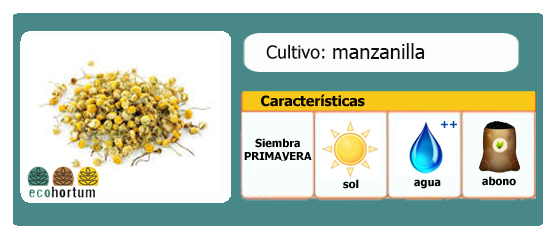 Ficha de cultivo manzanilla | EcoHortum