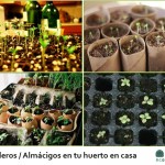 Cultivo en semilleros y mesas de cultivo | EcoHortum