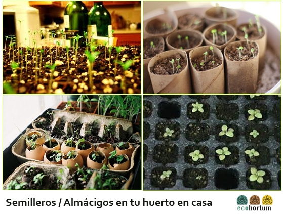 Cultivo en semilleros y mesas de cultivo | EcoHortum