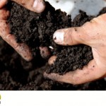 Cómo reutilizar y sanear la tierra de tu mesa de cultivo | EcoHortum