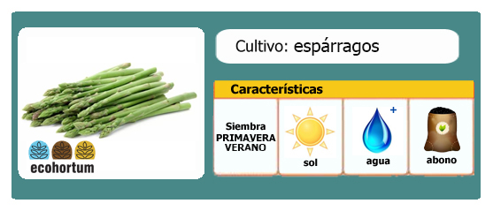 Ficha de cultivo de esparragos | EcoHortum