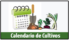 Calendario de cultivos | EcoHortum