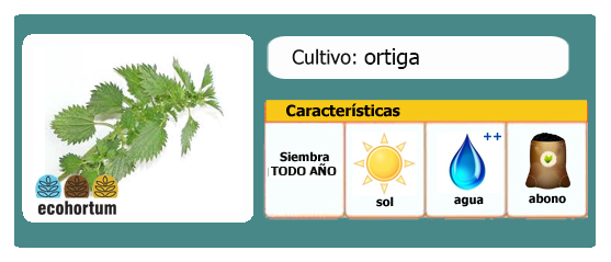Ficha cultivo ortiga | EcoHortum