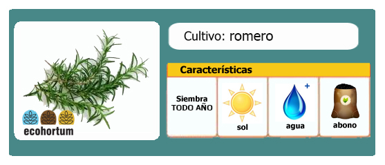Ficha cultivo romero | EcoHortum