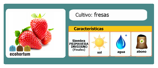 Ficha cultivo fresas | EcoHortum