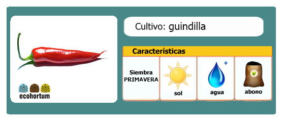 Ficha cultivo guindilla | EcoHortum