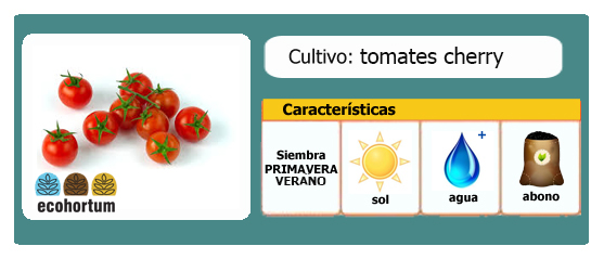 Ficha cultivo tomates cherry | EcoHortum