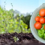 Cultivar en primavera: Una mesa de cultivo productiva