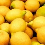 Cómo cultivar limones en huerto urbano