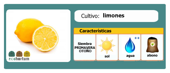Cómo cultivar limones