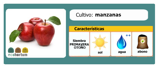 Ficha de cultivo: manzanas