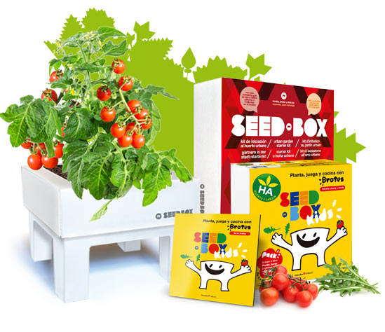 seedbox